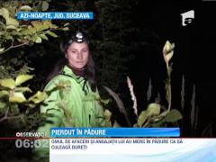 Om de afaceri suceavean, pierdut in padure
