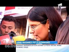 Cainii maidanezi pot fi eutanasiati