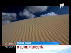 Socotra, insula cu o vegetatie nemaiintalnita nicaieri pe Pamant