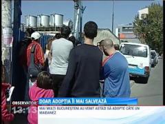 Doar adoptia ii mai poate salva pe maidanezi de la moarte!