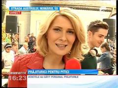 Update! Prajiturici pentru pitici