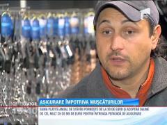 Asigurare impotriva muscaturilor de caine