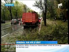 Vantul puternic a facut ravagii la Constanta