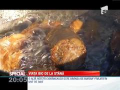 SPECIAL! Viata BIO de la stana