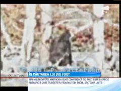 Un grup de americani sustine ca legendarul BigFoot chiar exista