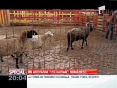 Un restaurant romanesc adevarat, in Bucuresti