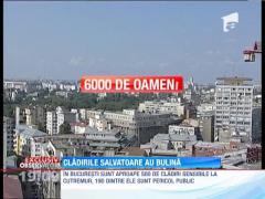 Foarte multe blocuri din Bucuresti, in pericol la un eventual seism puternic