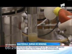 Masinile viitorului ar putea fi alimentate cu combustibil produs de bacterii!