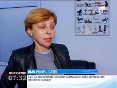 Cainii si pisicile paralizate nu mai trebuie sa fie eutanasiate