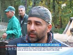 Garboavele, noua casa a leilor lui Nutu Camataru
