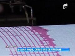 "Bulina rosie" a fost indepartata de pe fatada blocurilor incadrate in clasa de pericol public