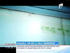 Observator de weekend