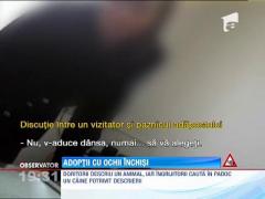 Acordul Politiei pentru adoptarea unui caine!