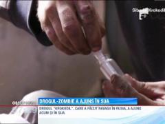 Drogul zombie a ajuns in SUA
