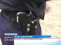 Un tanar a incercat sa se razbune pe politisti, calare pe un cal si cu un topor in mana