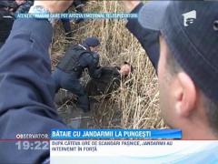 Protestatari luati la pumni de jandarmi! Fortele de ordine au curmat violent un protestul din Vaslui