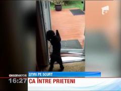 Prietenul la nevoie se cunoaste!