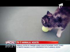 OBSERVATOR SPECIAL: Fa-ti animalul vedeta!