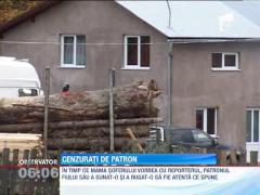 Patronul soferului masinii cu busteni ii cenzureaza familia