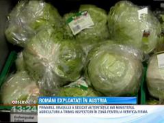 Zeci de romani, angajati la o firma din Austria, au protestat in fata cladirii, fata de conditiile grele de munca