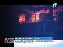 Incendiile de vegetatie fac ravagii in Australia