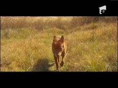 Copii infometati de parinti la Vaslui