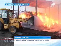 Depozit cu furaje, facut scrum