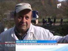 Hoti de stupi, retinuti de politisti