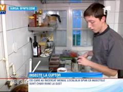 Un restaurant din Paris serveste doar insecte