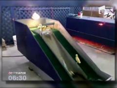 Mai multe ratuste au devenit vedetele unui targ rural din SUA