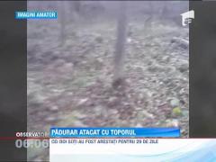 Padurar, atacat cu toporul, de hotii de lemne