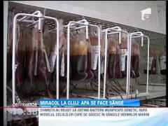 Romanii sunt aproape de inventia secolului - sangele artificial!