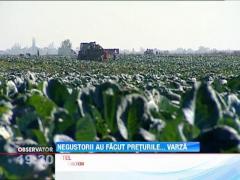 Productie record de varza, pentru agricultorii din Romania