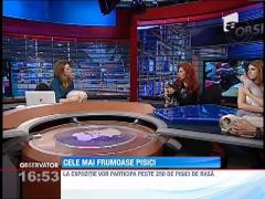 Cele mai frumoase pisici pot fi vazute, in acest week-end, la Sala Palatului