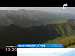 Printul Charles, indragostit de Romania