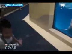 Un delfin din China a devenit faimos pentru faptul ca nu ii plac copiii