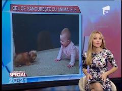 OBSERVATOR SPECIAL: Copilul tau e star!