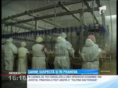 Salmonella, depistata in carne de pui