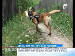 Zeci de mii de lei pentru câinii polițiști