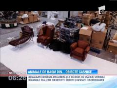 Animale de basm realizate din obiecte casnice