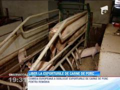 Comisia Europeană a deblocat exporturile de carne de porc pentru România, după sase ani de interdicţie