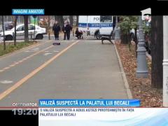 Ameninţare falsă cu bomba în curtea palatului lui Gigi Becali