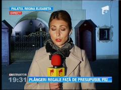 Regele Mihai, plângeri penale împotriva lui Dieter Stanzeleit, cel care susţine că este fiul Majestăţii Sale