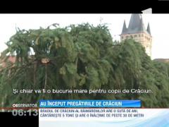 Baia Mare se pregătește de sărbătorile de iarnă