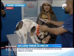 De anul viitor, din martie, câinii trebuie să fie înregistraţi şi să poarte cip de identificare