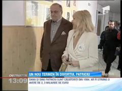 Un nou termen în divorţul Patriciu