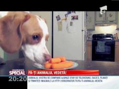 SPECIAL! Câinii dependenţi de morcovi