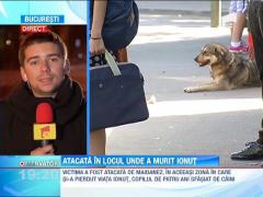 O femeie a fost muşcată de maidanezi, în aceeaşi zonă în care şi-a pierdut viaţa Ionuţ Anghel