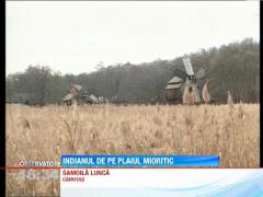 Salman Khan, indianul de pe plaiul miriotic