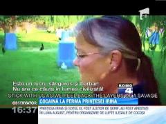 Fiica regelui Mihai şi soţul ei drogau cocoşii folosiţi în luptele ilegale